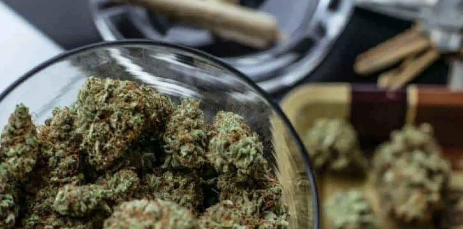 Safety and Culture at Forefront of Cannabis Social Club vs. Dispensary Debate