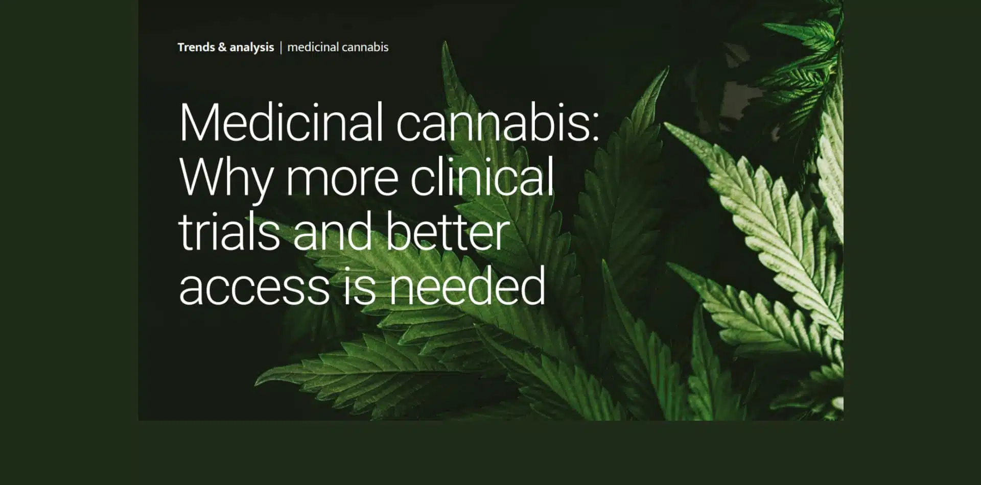 Medicinal cannabis: Why more clinical trials and better access is needed