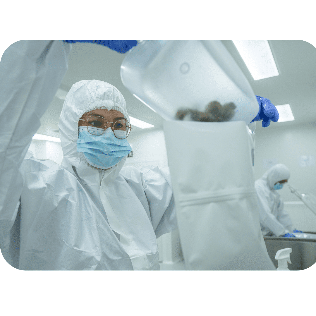 How To Trade Cannabis Flower Globally: A Story Of Capital