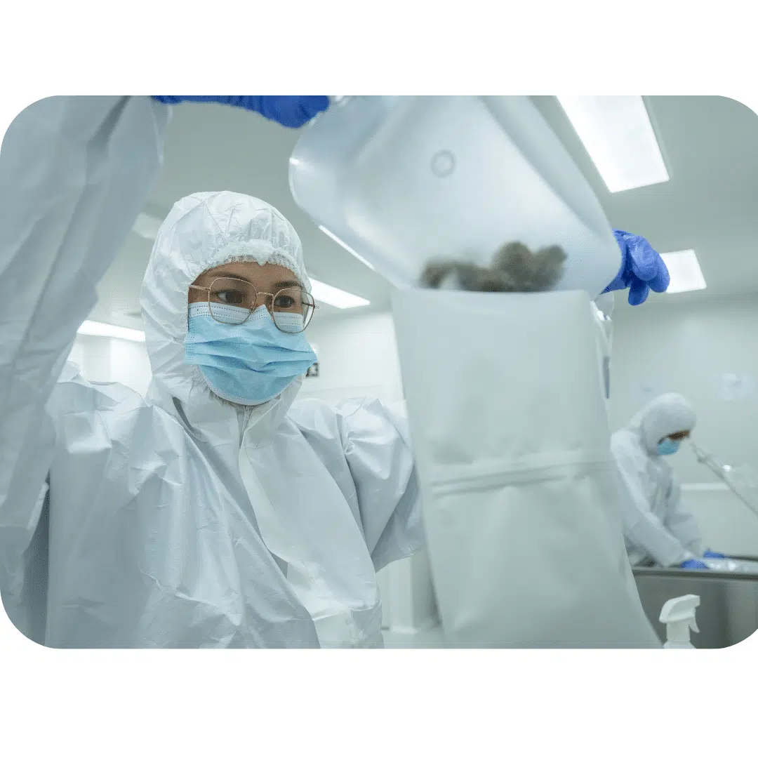 How To Trade Cannabis Flower Globally: A Story Of Capital