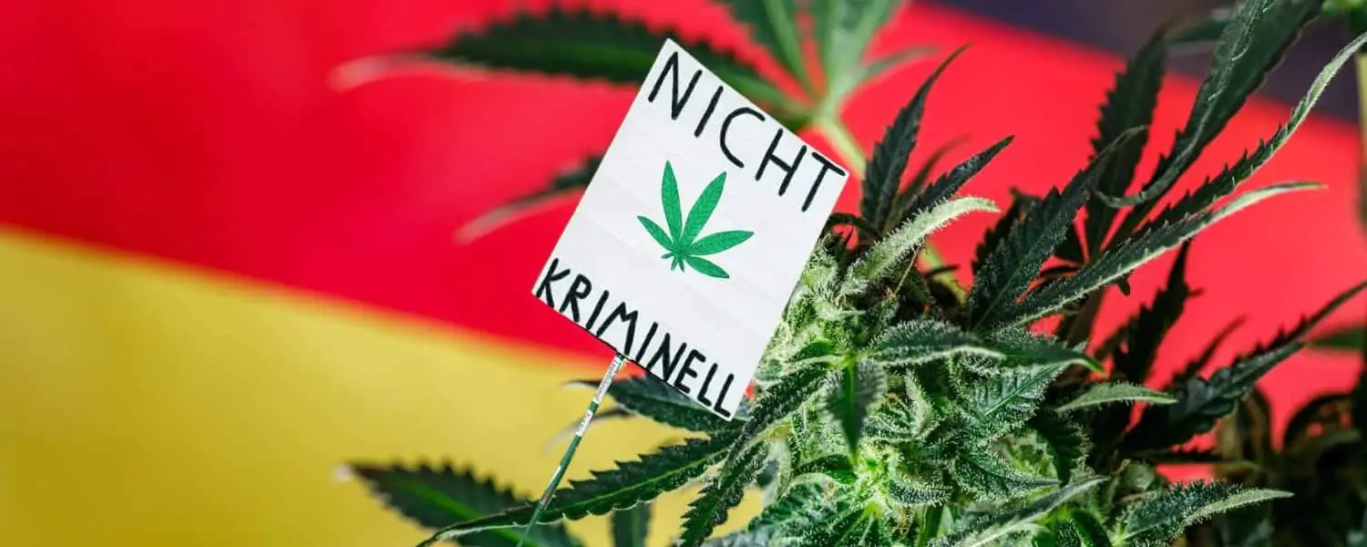 Germany s Cannabis Patients Speak Out Restricting Telemedicine Could Drive 42 Back to Illicit Market